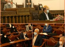 انتخاب دکتر پروین صالحی به عنوان نماینده کمیسیون بهداشت و درمان مجلس در وزارت صنعت معدن و تجارت