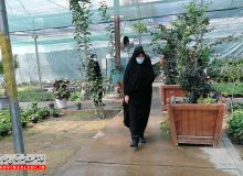 بازدید دکتر صالحی از گلخانه شهرداری مبارکه