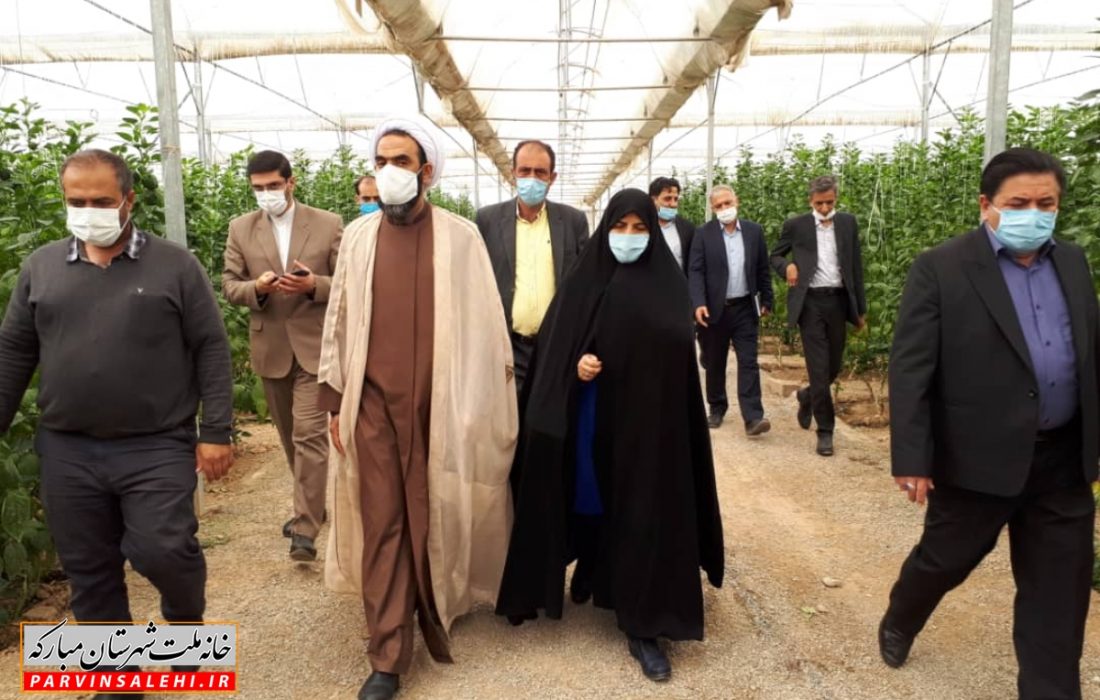 بازدید دکتر صالحی و عضو کمیسیون کشاورزی مجلس از گلخانه‌های شهرستان مبارکه