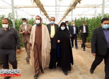 بازدید دکتر صالحی و عضو کمیسیون کشاورزی مجلس از گلخانه‌های شهرستان مبارکه