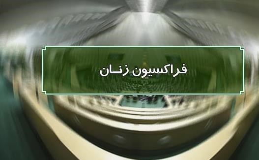 درخواست دکتر صالحی و دیگر اعضای فراکسیون زنان مجلس به رئیس دستگاه قضا برای عفو زندانیان زن