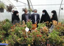افتخار می‌کنیم که نماینده شهرستان مبارکه به موضوع مهم مهارت‌آموزی نگاه ویژه‌ای دارد
