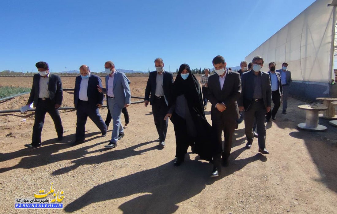 بازدید دکتر صالحی به همراه مدیرعامل فولاد مبارکه و رئیس دانشگاه آزاد اصفهان از طرح ملی بذر و کارگاه های دانشگاه مجلسی