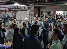 بازدید میدانی معاون وزیر صمت از شرکت پلی اکریل