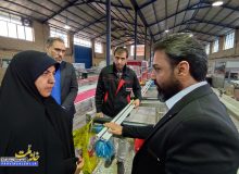 بازدید میدانی دکتر صالحی از شرکت پاور پایپ اسپادانا