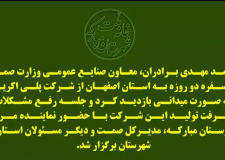 بازدید میدانی معاون وزیر صمت از شرکت پلی اکریل