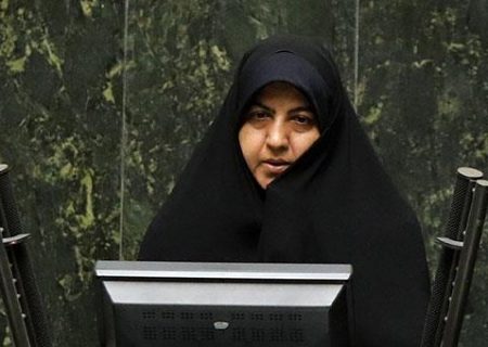 نطق دکتر صالحی نماینده مردم مبارکه در مجلس